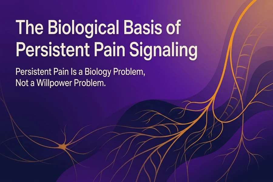 The Biological Basis of Persistent Pain Signaling - Recalibrate blog cover illustration.