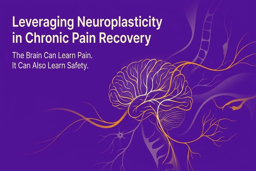Leveraging Neuroplasticity in Chronic Pain Recovery - Recalibrate blog cover illustration.