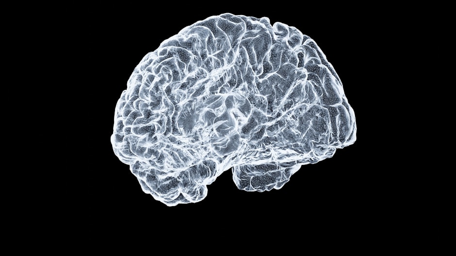 Close-up of a human brain on a black background. The 12 cranial nerves - the direct line from brain to world. Recalibrate neuroscience blog.