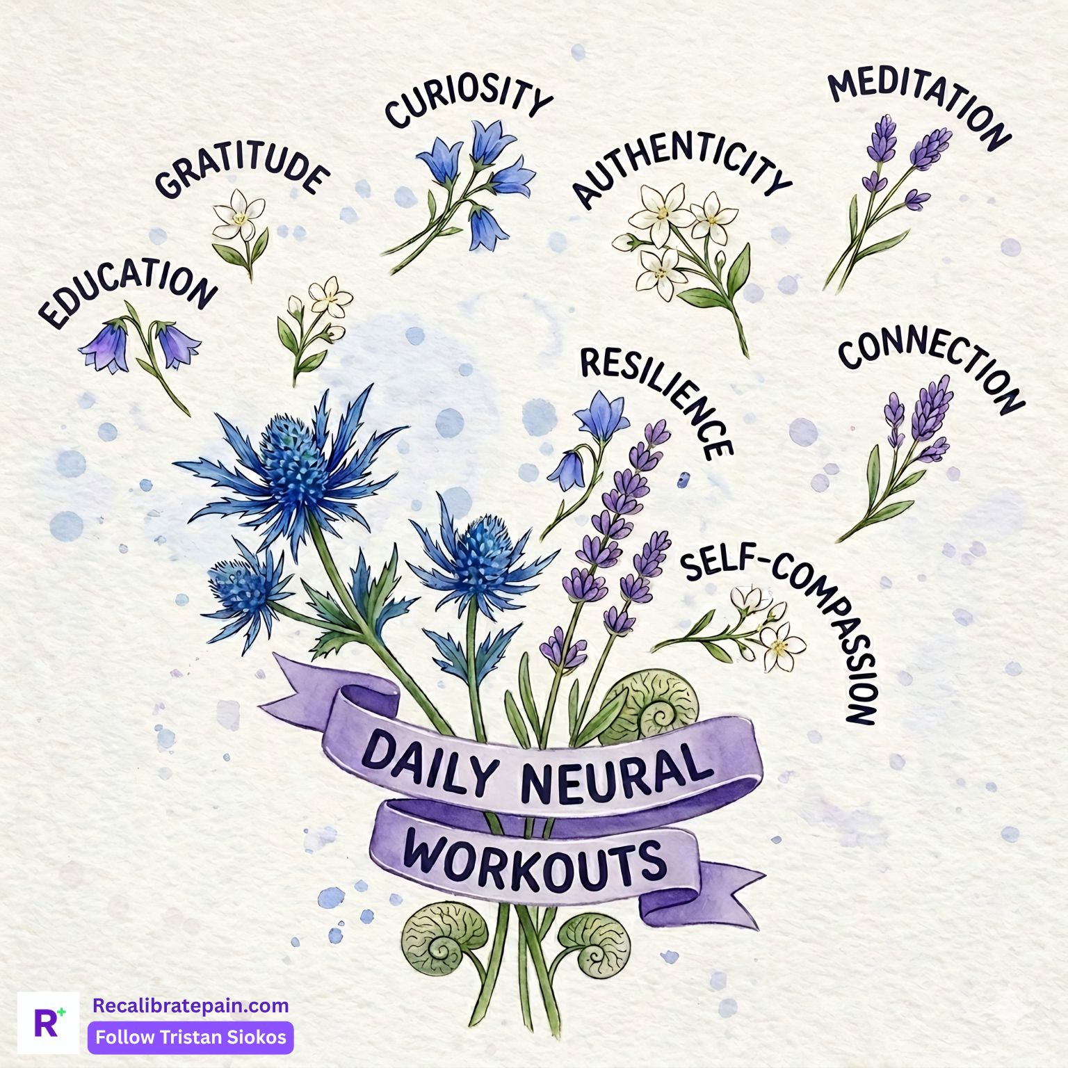 Daily Neural Workouts - 8 watercolor flowers labelled education, gratitude, curiosity, authenticity, meditation, resilience, connection and self-compassion. Recalibrate neuroscience daily practice guide.