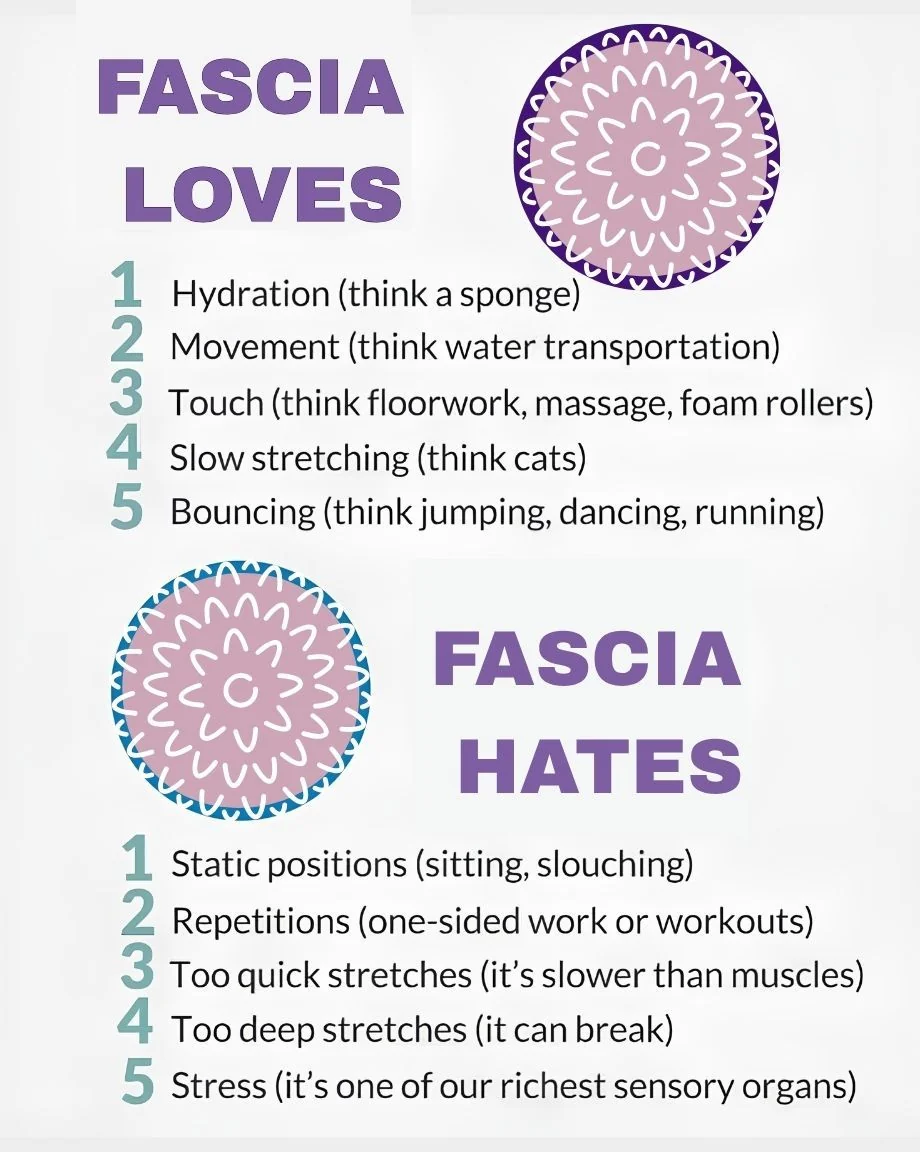 Fascia Loves / Fascia Hates infographic. Loves: hydration, movement, touch (floorwork, massage, foam rollers), slow stretching, bouncing. Hates: static positions, repetitions, too quick stretches, too deep stretches, stress. Recalibrate pain science blog.