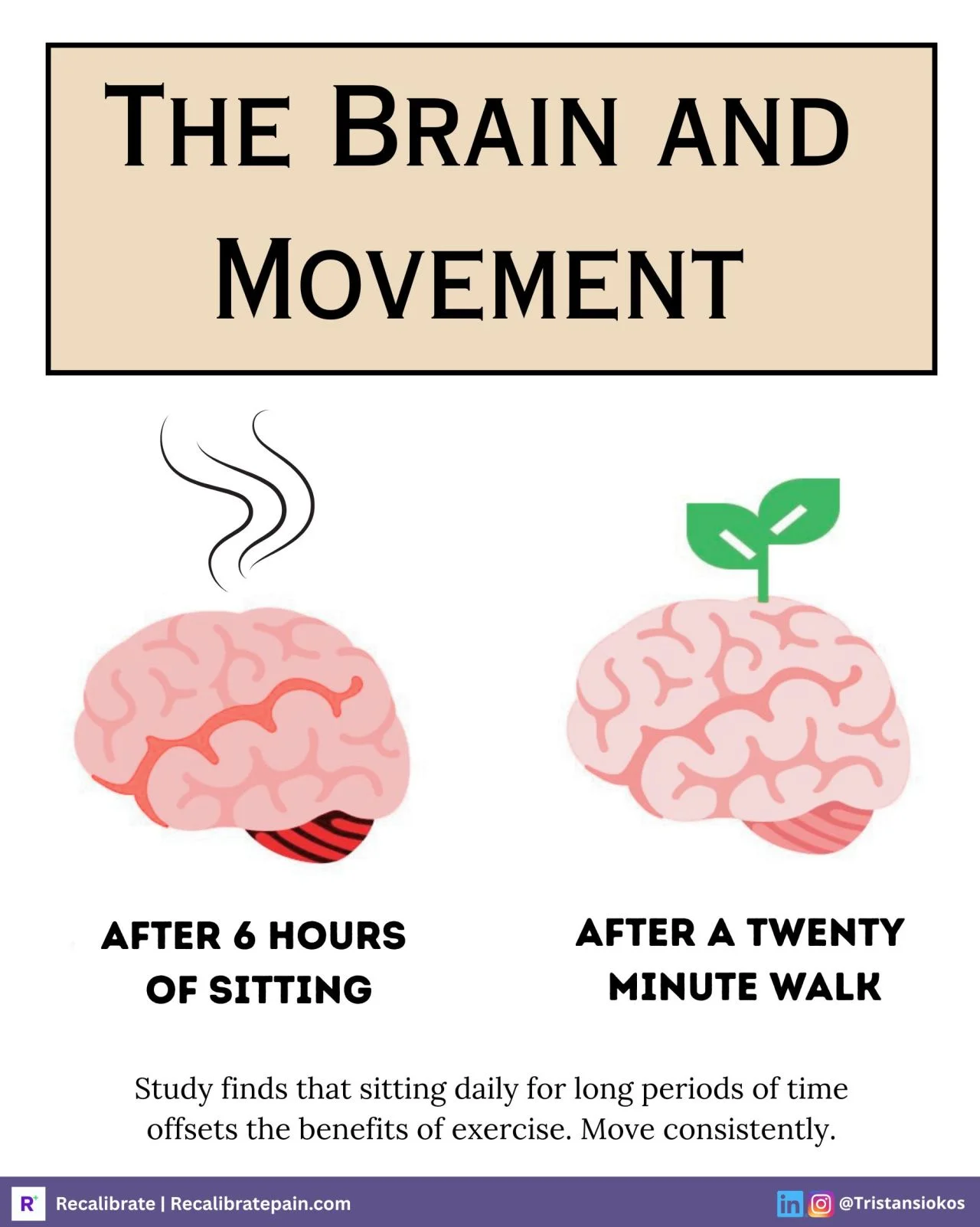 The Brain and Movement - comparison showing brain after 6 hours of sitting versus after a twenty minute walk. Study finds prolonged sitting offsets the benefits of exercise. Recalibrate blog.