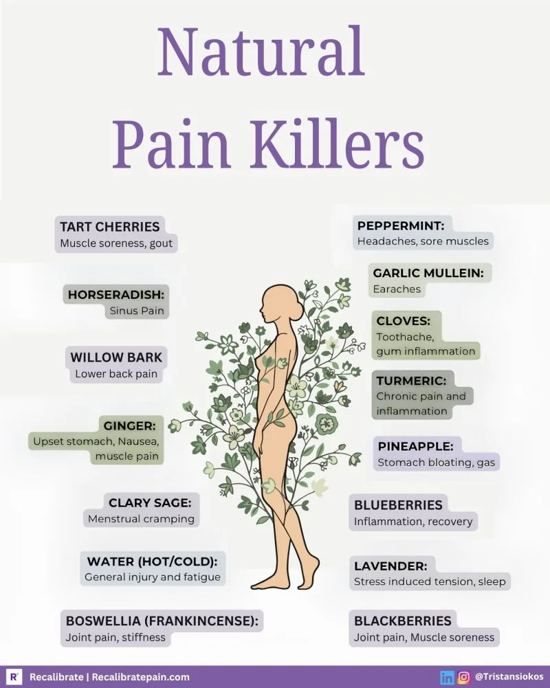 Natural Pain Killers infographic listing fourteen plant-based analgesics and what each is used for: tart cherries for muscle soreness and gout, horseradish for sinus pain, willow bark for lower back pain, ginger for nausea and muscle pain, clary sage for menstrual cramping, boswellia for joint pain and stiffness, peppermint for headaches, garlic mullein for earaches, cloves for toothache, turmeric for chronic pain and inflammation, pineapple for bloating, blueberries for inflammation and recovery, lavender for stress and sleep, blackberries for joint pain. Recalibrate.