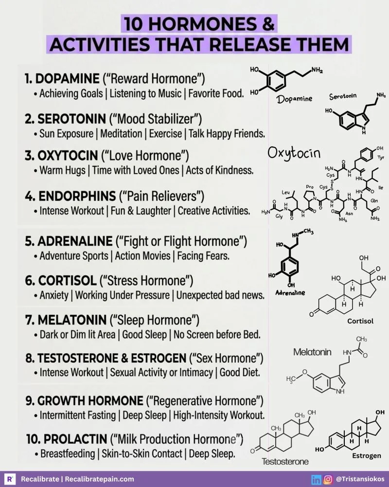 Infographic titled 10 Hormones and Activities That Release Them, listing dopamine, serotonin, oxytocin, endorphins, adrenaline, cortisol, melatonin, testosterone and estrogen, growth hormone and prolactin alongside their molecular structures. Recalibrate neuroscience blog.