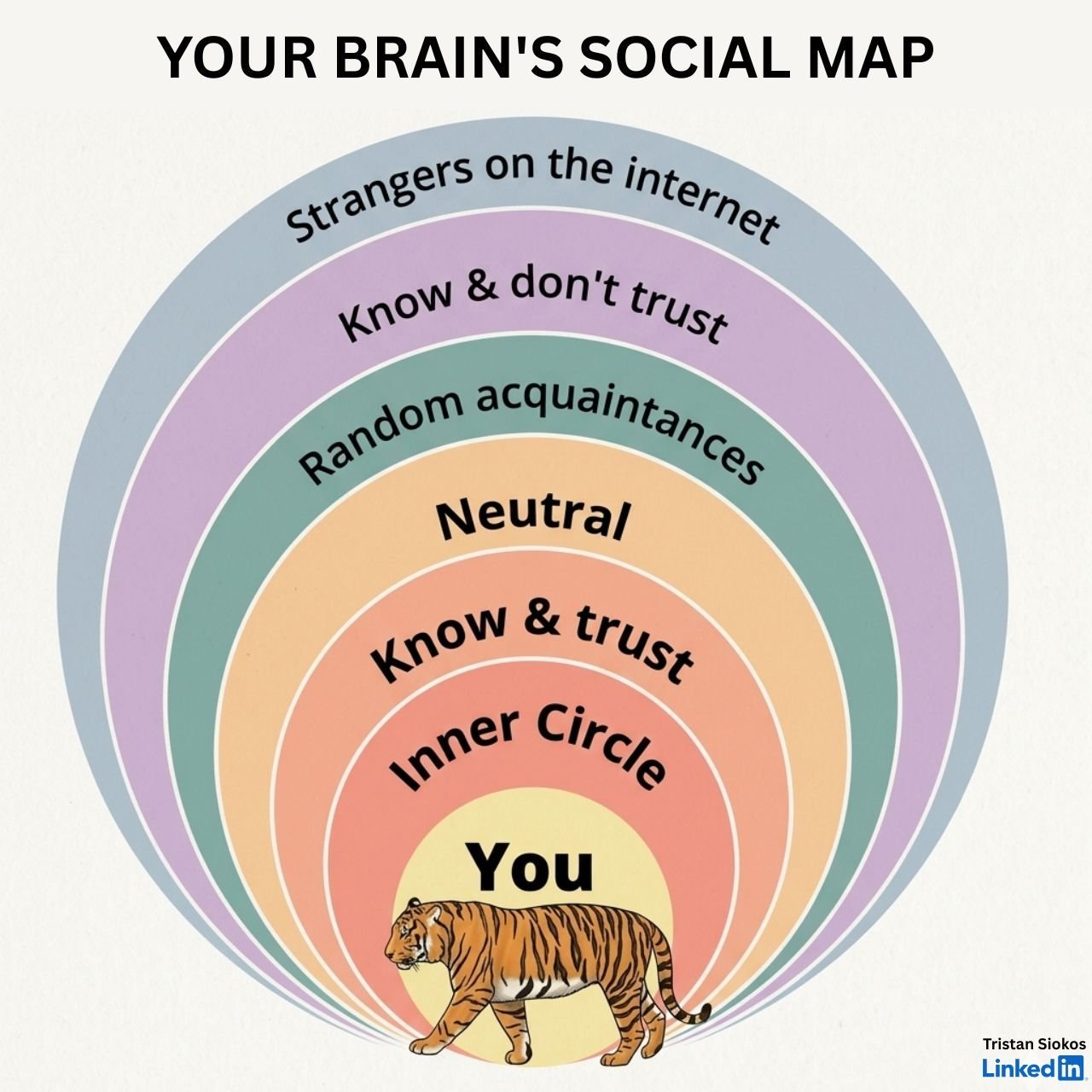 Your brain's social map - a tiered diagram showing the rings of relationships from the inner circle outward to strangers on the internet, with a tiger at the centre representing You. Recalibrate neuroscience guide.